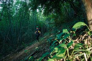 BIB: 
                            <button type="button" onclick="openModal(28124786)" class="btn btn-primary btn-sm float-right btn-popup" data-toggle="modal" data-target=".modal-high-quality">
                        <i class="fas fa-shopping-cart"></i> Add to Cart
                    </button>
                                            <button type="button" onclick="isThisMe(28124786, true)" class="btn btn-success btn-sm float-right btn-popup btn-isme hidden" data-toggle="tooltip" data-placement="bottom" title="นี่คือรูปของคุณใช่ไหม คลิกที่นี่เพื่อเอาเข้าอัลบั้ม">
                        <i class="fas fa-plus"></i> Add to album
                    </button>
                    <button type="button" onclick="isThisMe(28124786, false)" class="btn btn-warning btn-sm float-right btn-popup btn-isnotme hidden">
                        <i class="fas fa-ban"></i> Remove from album
                    </button>